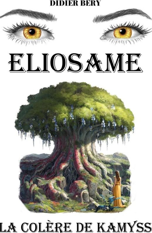 Couverture du livre « La colère de Kamyss » de Didier Bery, librairie Les Contes Infusés à Corte