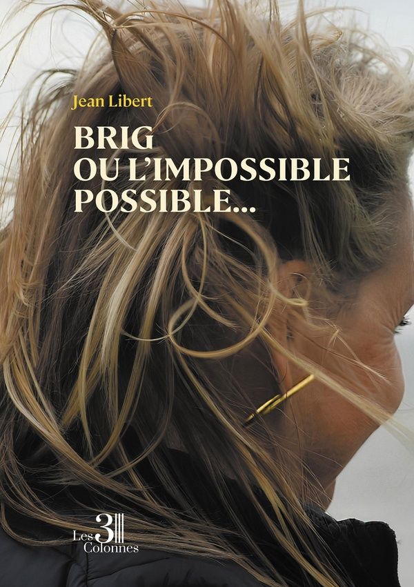 Couverture du livre « Brig ou l'impossible possible : chroniques d'un amour au temps du virtuel » de Jean Libert, librairie Les Contes Infusés à Corte