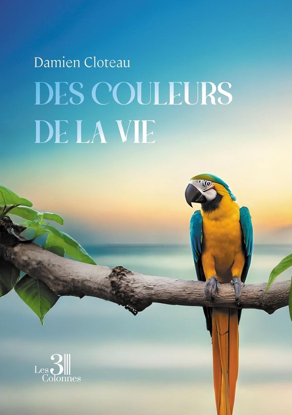 Couverture du livre « Des couleurs de la vie », librairie Les Contes Infusés à Corte