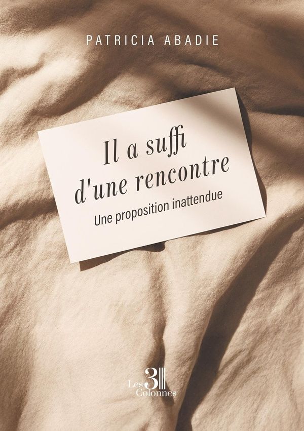 Couverture du livre « Il a suffi d'une rencontre : une proposition inattendue » de Patricia Abadie, librairie Les Contes Infusés à Corte