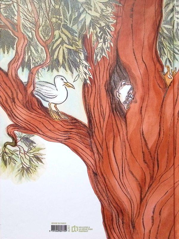 Quatrième de couverture de « Marie rêve en vert »