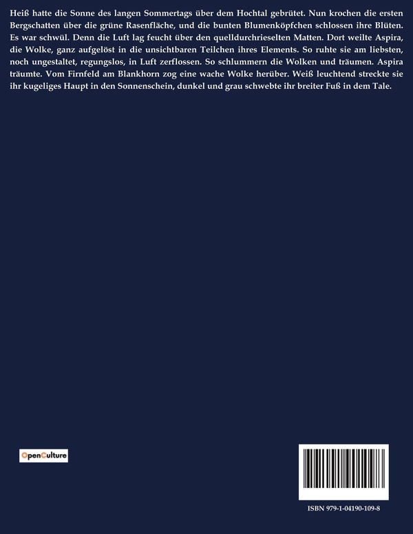 Quatrième de couverture de « ASPIRA - EINBLICKE IN DAS LEBEN EINER VIKTORIANISCHEN FAMILIE »