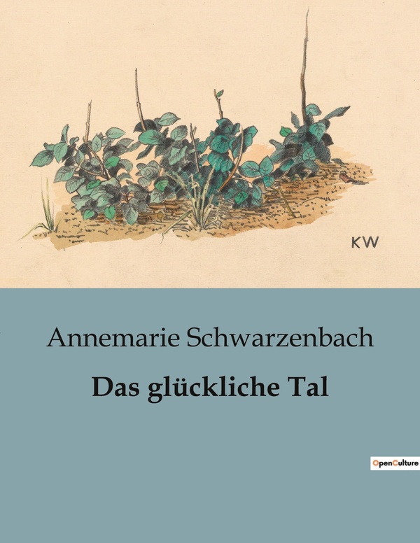 Couverture du livre « DAS GLUCKLICHE TAL - EIN VERBORGENES TAL UND DIE SUCHE NACH IDENTITAT » de A. Schwarzenbach, librairie Les Contes Infusés à Corte