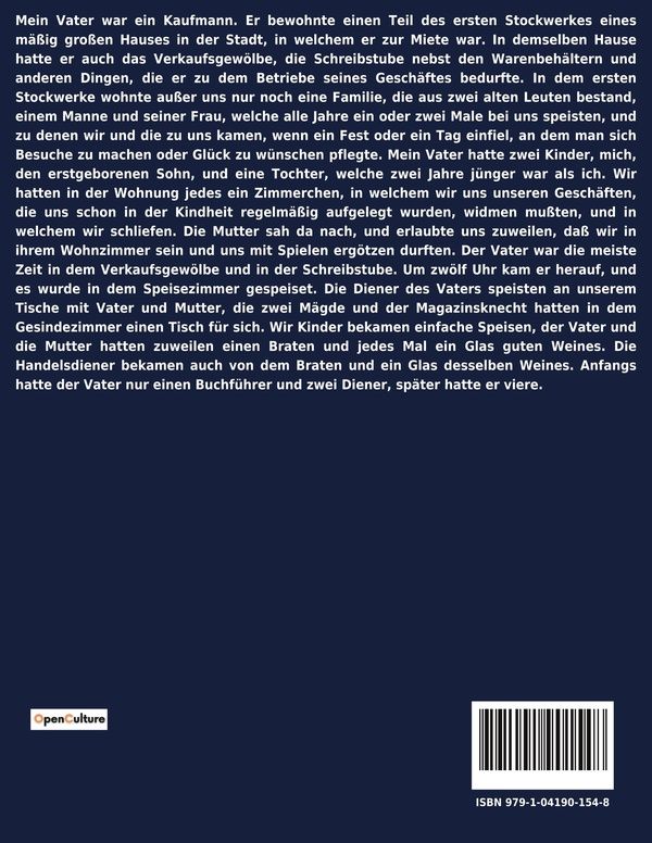 Quatrième de couverture de « DER NACHSOMMER - EINBLICKE IN DAS LEBEN UND DIE ENTWICKLUNG EINES JUNGEN MANNES IM 19. JAHRHUNDERT »