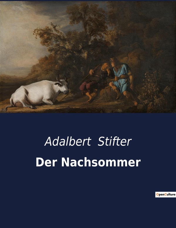 Couverture du livre « DER NACHSOMMER - EINBLICKE IN DAS LEBEN UND DIE ENTWICKLUNG EINES JUNGEN MANNES IM 19. JAHRHUNDERT » de Adalbert Stifter, librairie Les Contes Infusés à Corte