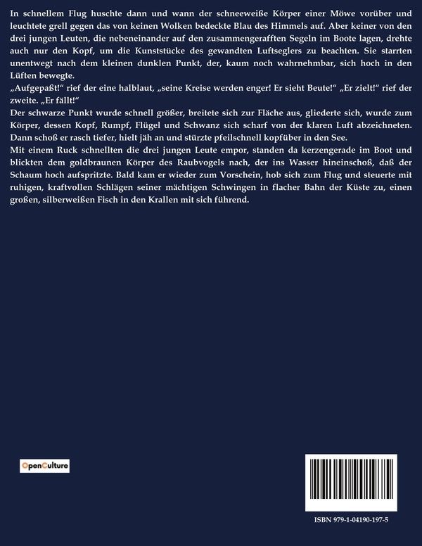 Quatrième de couverture de « DAS HEILIGE DONNERWETTER - EIN ABENTEUERROMAN UBER MUT UND FREIHEIT IM ZEITALTER DER NAPOLEONISCHEN »