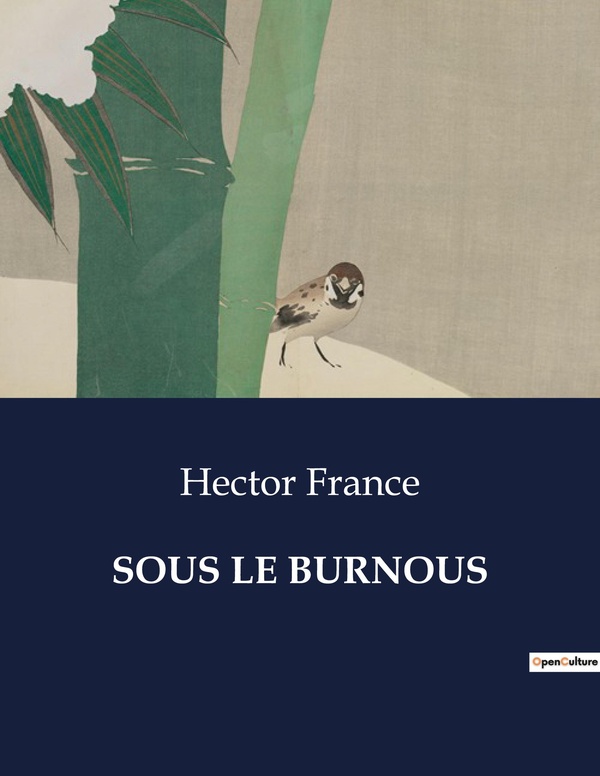 Couverture du livre « SOUS LE BURNOUS - CHRONIQUES DE LA FRONTIERE: RECITS DE GUERRE ET DE SURVIE EN ALGERIE » de Hector France, librairie Les Contes Infusés à Corte