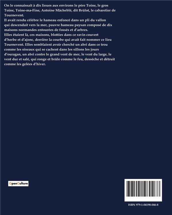 Quatrième de couverture de « TOINE »