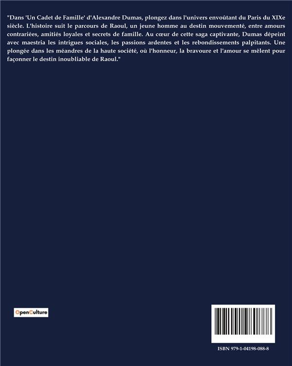 Quatrième de couverture de « UN CADET DE FAMILLE - AVENTURES ET PERILS D'UN EQUIPAGE EN QUETE DE SURVIE »