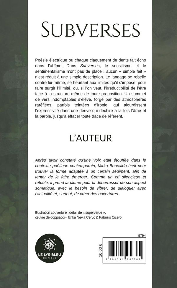 Quatrième de couverture de « SUBVERSES »