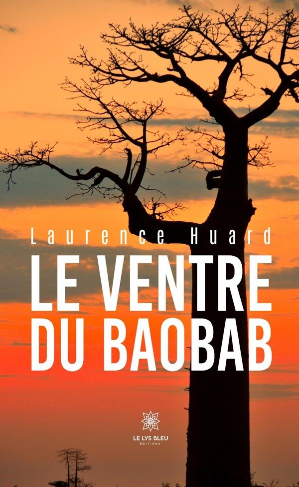 Couverture du livre « LE VENTRE DU BAOBAB », librairie Les Contes Infusés à Corte