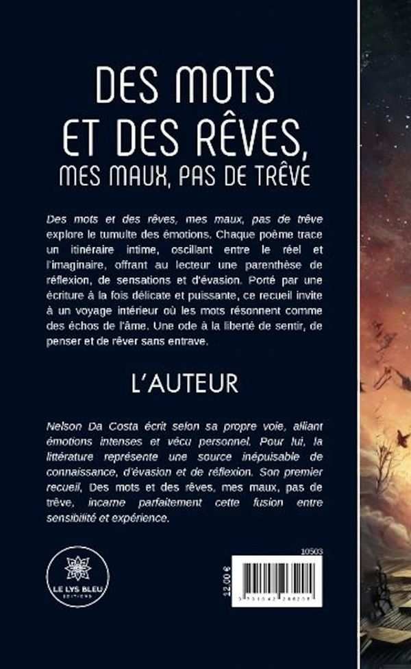 Quatrième de couverture de « Des mots et des rêves, mes maux, pas de trêve : Recueil »