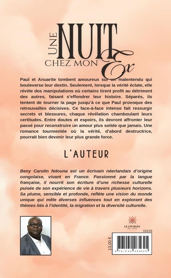 Quatrième de couverture de « Une nuit chez mon ex. »