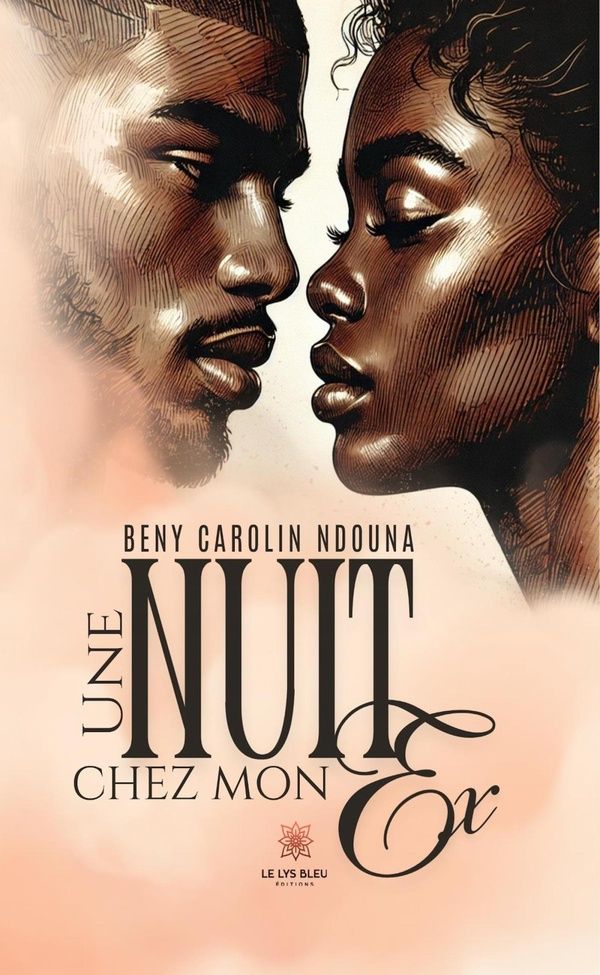Couverture du livre « Une nuit chez mon ex. » de Beny Carolin Ndouna, librairie Les Contes Infusés à Corte