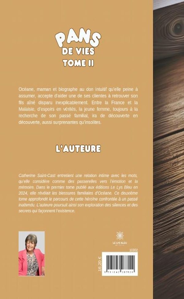 Quatrième de couverture de « Pans de vies : Roman »