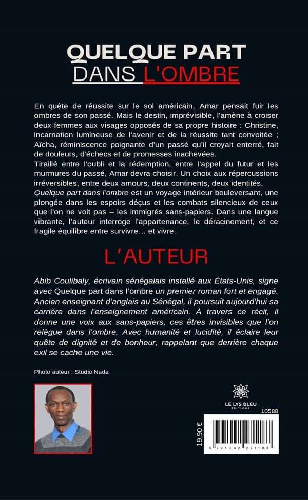 Quatrième de couverture de « Quelque part dans l'ombre : Roman »