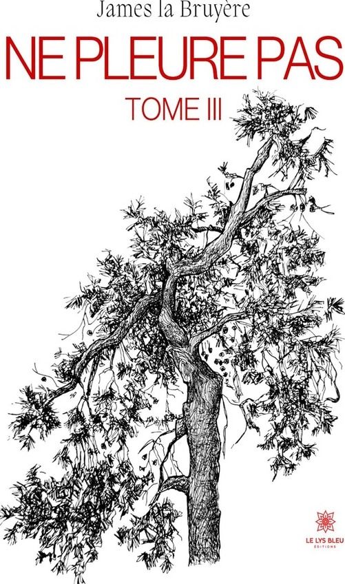 Couverture du livre « Ne pleure pas : Tome III - Roman » de James La Bruyère, librairie Les Contes Infusés à Corte