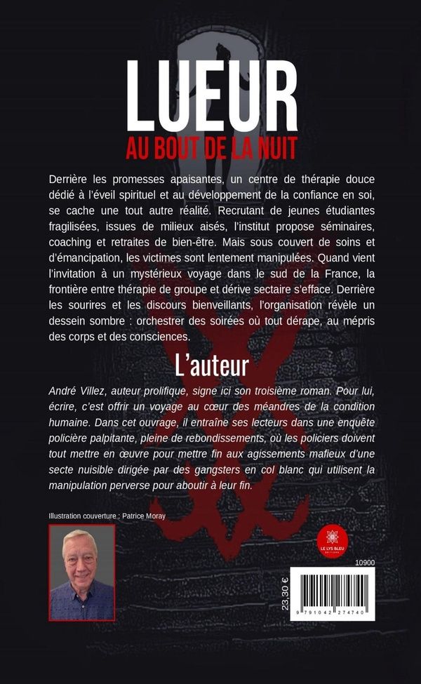 Quatrième de couverture de « Lueur au bout de la nuit : Roman »