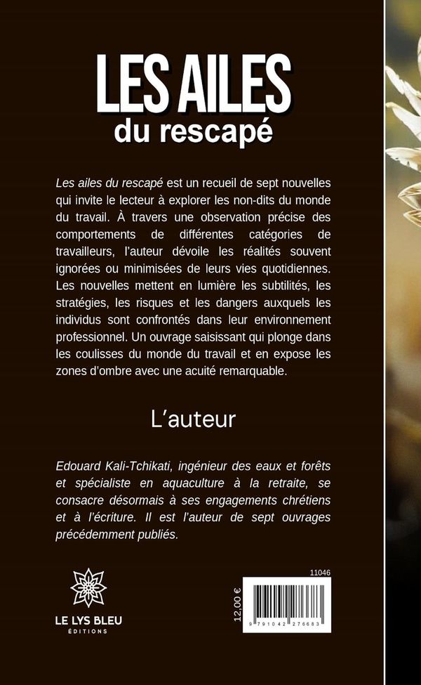 Quatrième de couverture de « Les ailes du rescapé : nouvelle »