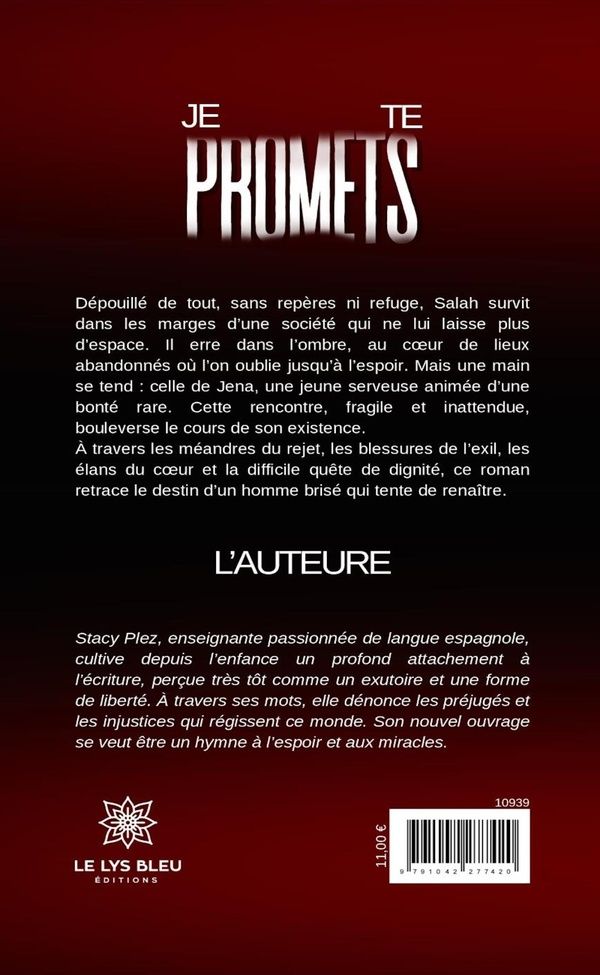 Quatrième de couverture de « Je te promets : Roman »