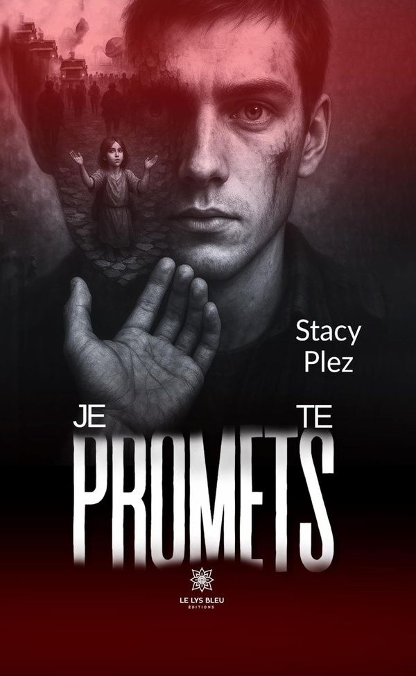 Couverture du livre « Je te promets : Roman » de Stacy Plez, librairie Les Contes Infusés à Corte
