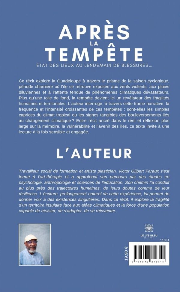 Quatrième de couverture de « Après la tempête : état des lieux au lendemain de blessures... »
