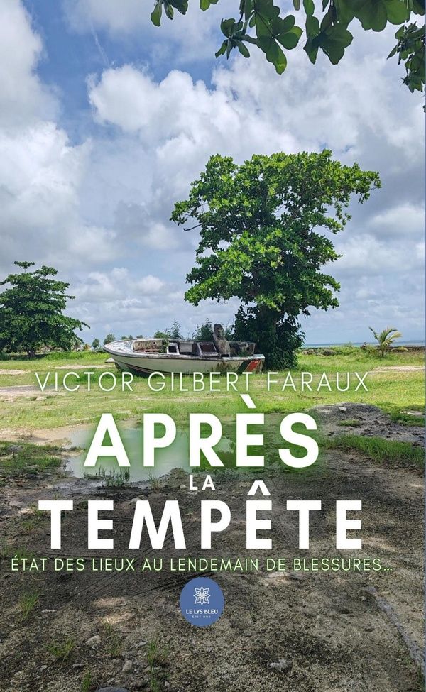 Couverture du livre « Après la tempête : état des lieux au lendemain de blessures... » de Victor Gilbert Farraux, librairie Les Contes Infusés à Corte