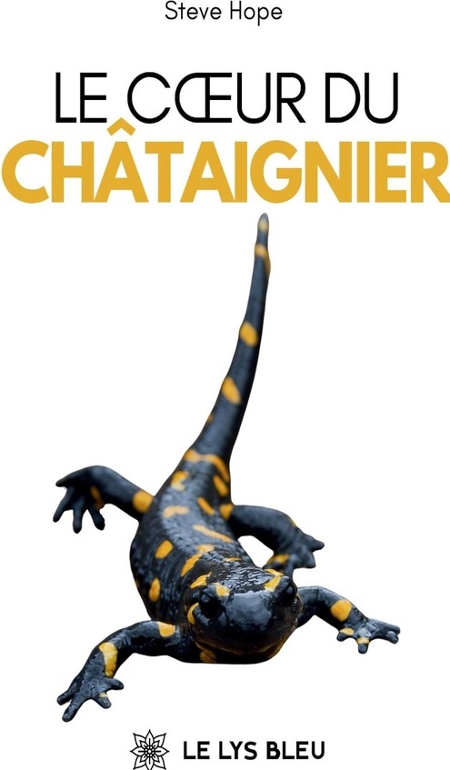 Couverture du livre « LE COEUR DU CHATAIGNIER » de Steve Hope, librairie Les Contes Infusés à Corte