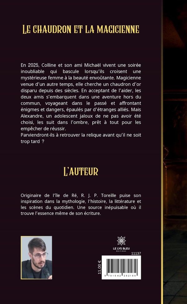 Quatrième de couverture de « Le chaudron et la magicienne : roman »
