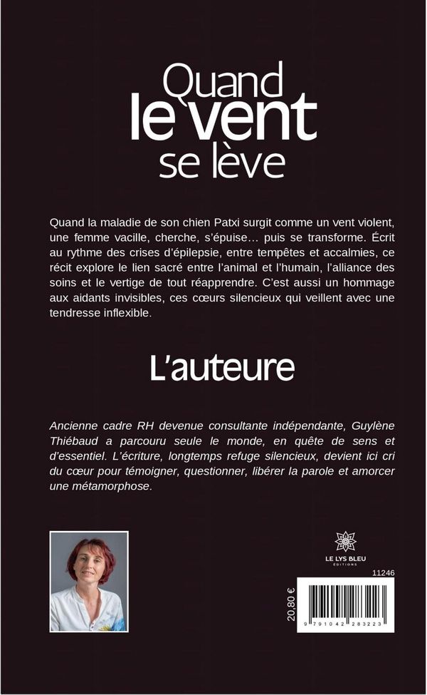 Quatrième de couverture de « Quand le vent se lève : Roman »