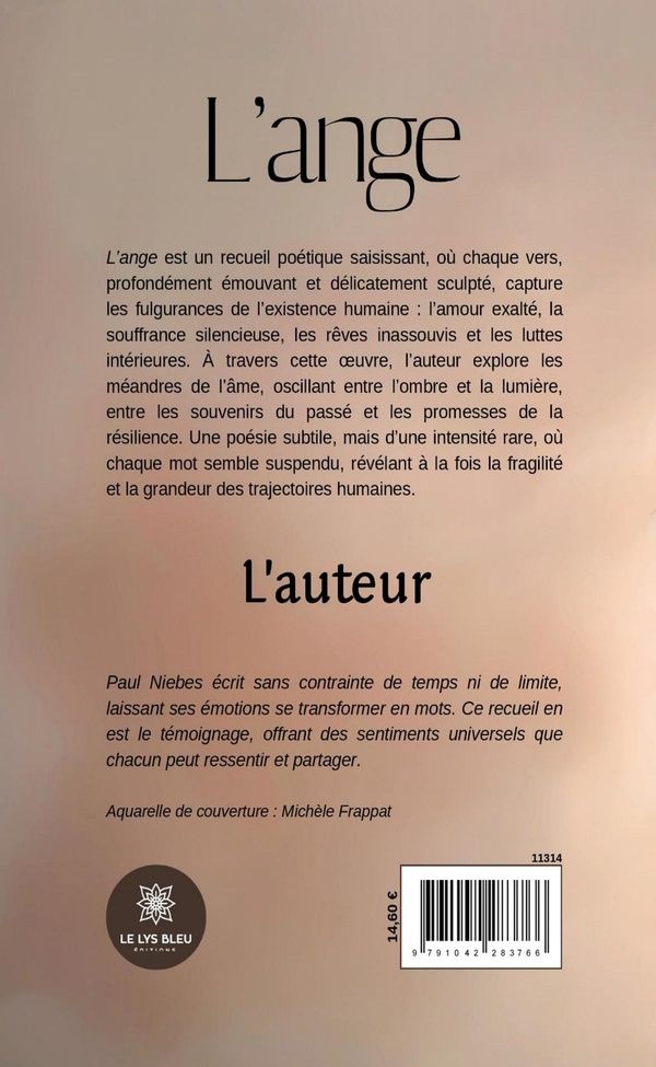 Quatrième de couverture de « L'ange »