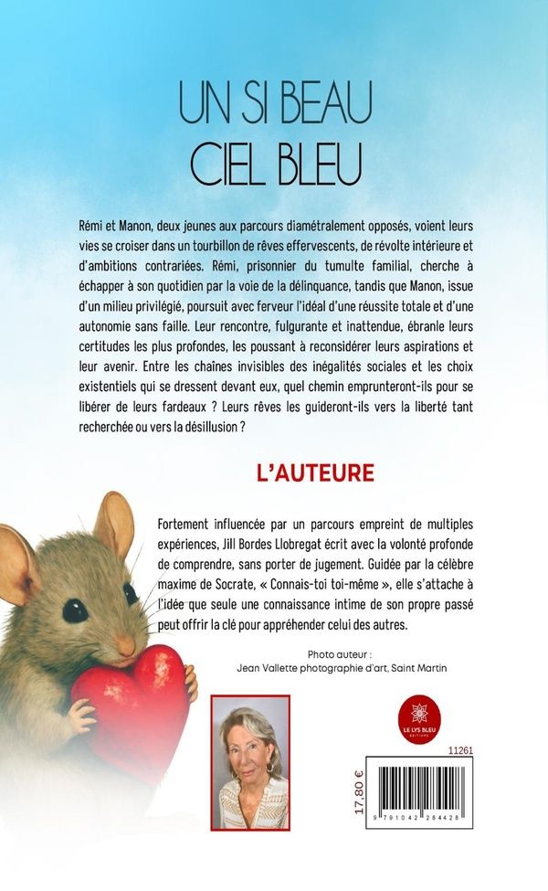 Quatrième de couverture de « Un si beau ciel bleu : roman »