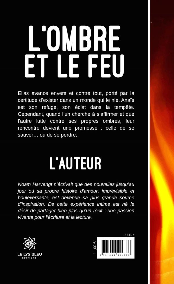 Quatrième de couverture de « L'ombre et le feu : Roman »