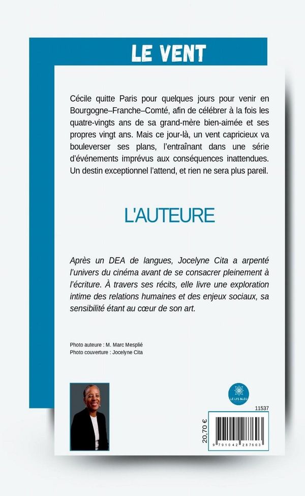 Quatrième de couverture de « Le vent : roman »