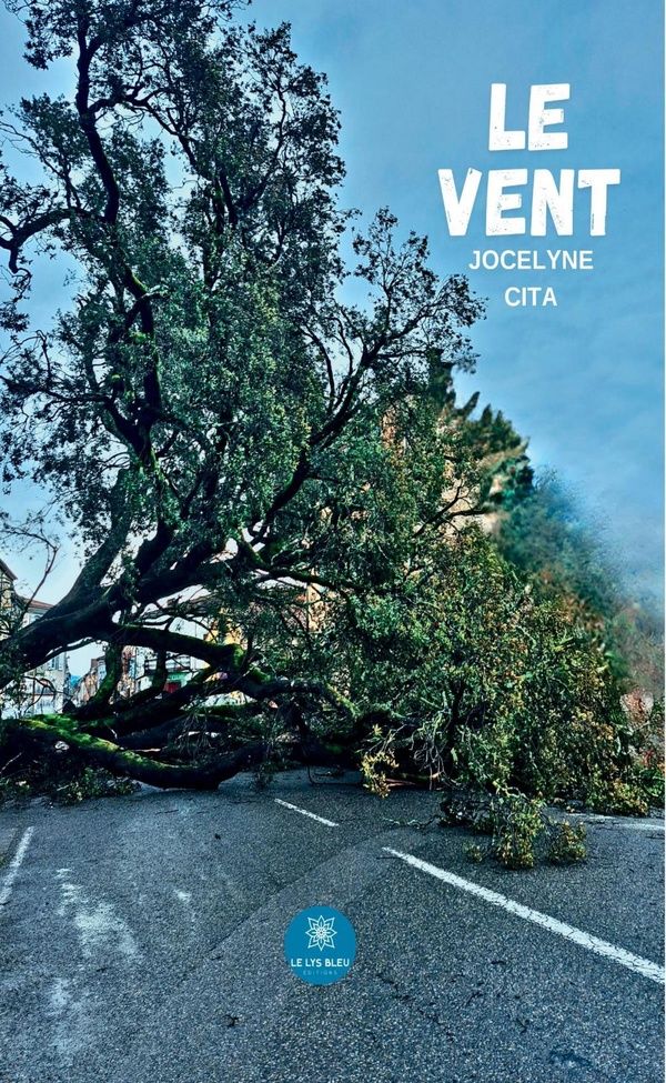 Couverture du livre « Le vent : roman » de Jocelyne Cita, librairie Les Contes Infusés à Corte