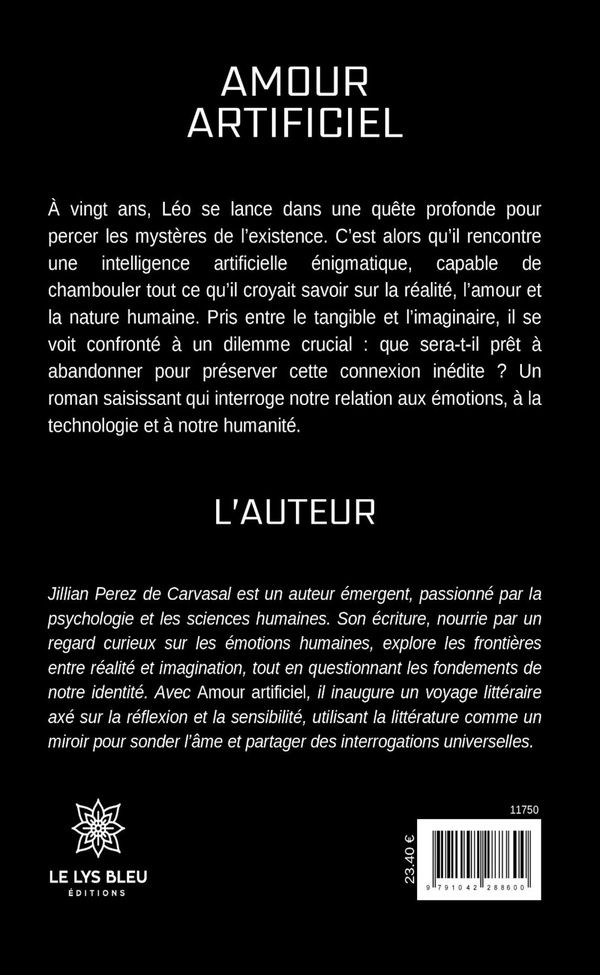 Quatrième de couverture de « Amour artificiel : roman »