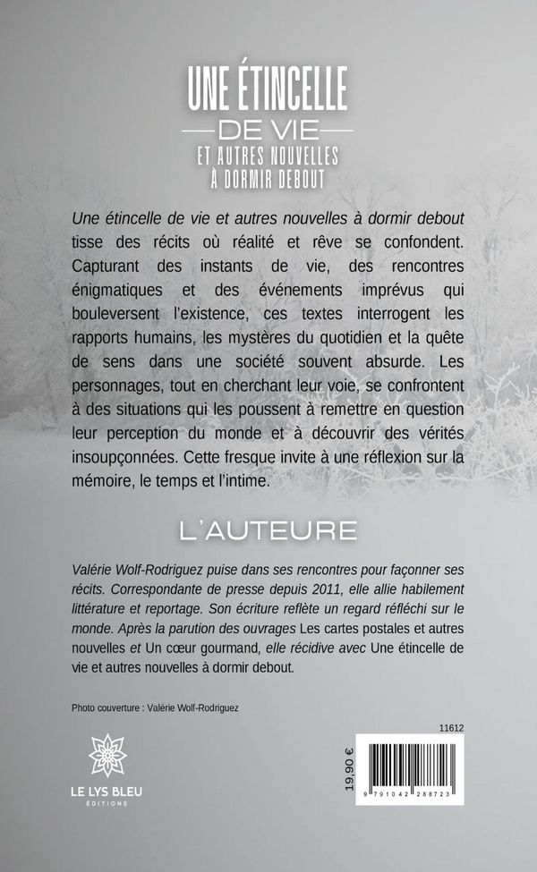 Quatrième de couverture de « Une étincelle de vie et autres nouvelles à dormir debout »