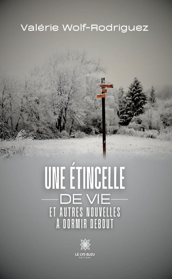Couverture du livre « Une étincelle de vie et autres nouvelles à dormir debout » de Valérie Wolf-Rodriguez, librairie Les Contes Infusés à Corte