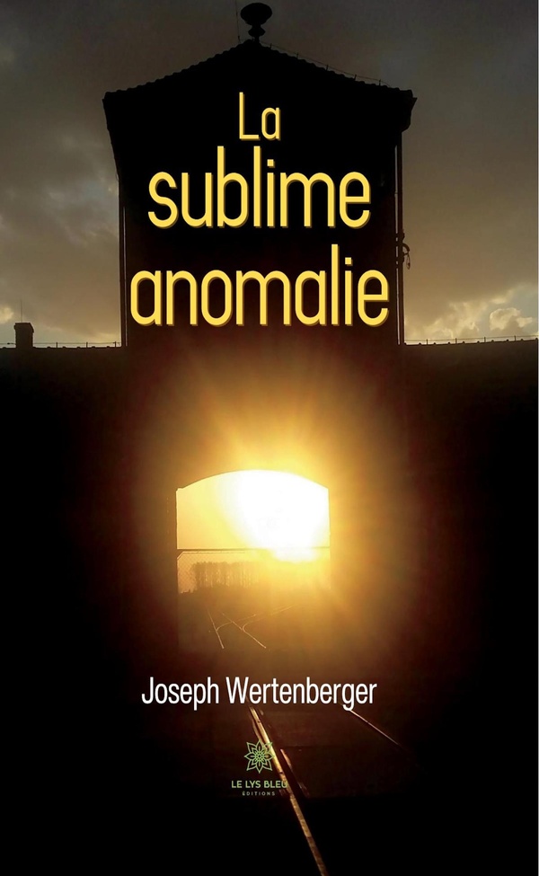 Couverture du livre « La sublime anomalie : essai » de Joseph Wertenberger, librairie Les Contes Infusés à Corte