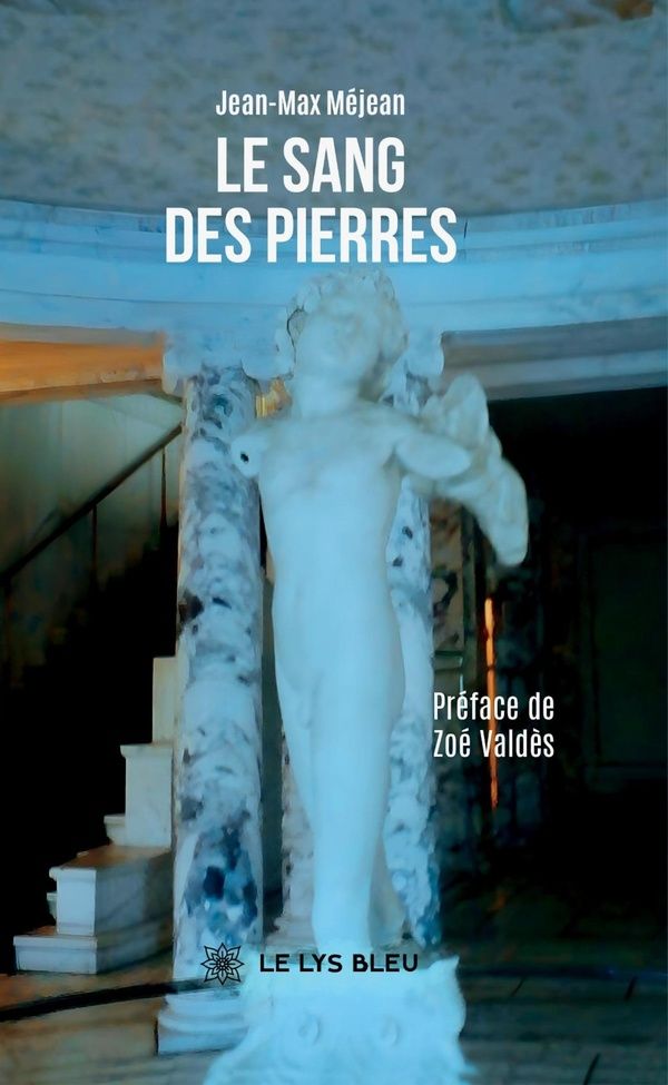 Couverture du livre « Le sang des pierres : roman » de Jean-Max Méjean, librairie Les Contes Infusés à Corte