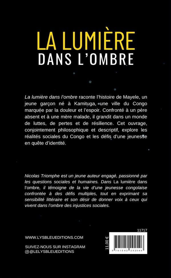 Quatrième de couverture de « La lumière dans l'ombre : roman »