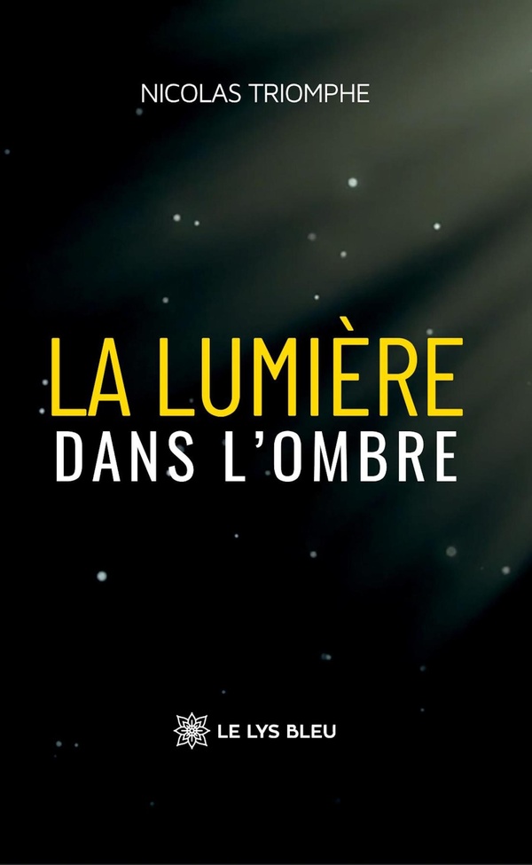 Couverture du livre « La lumière dans l'ombre : roman » de Nicolas Triomphe, librairie Les Contes Infusés à Corte