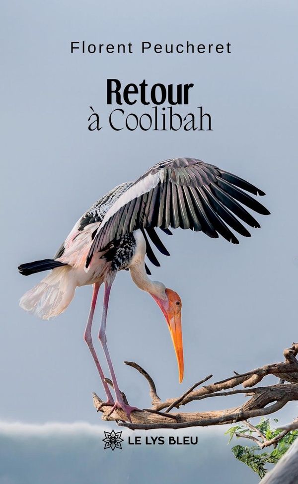 Couverture du livre « Retour à Coolibah : roman », librairie Les Contes Infusés à Corte