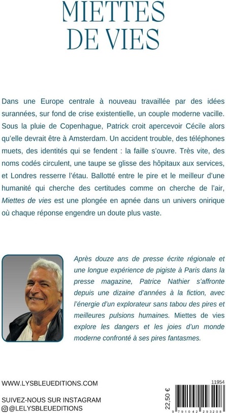 Quatrième de couverture de « Miettes de vies : roman »