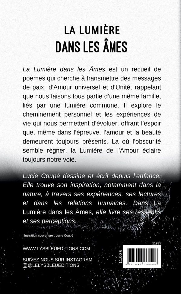 Quatrième de couverture de « LA LUMIERE DANS LES AMES »