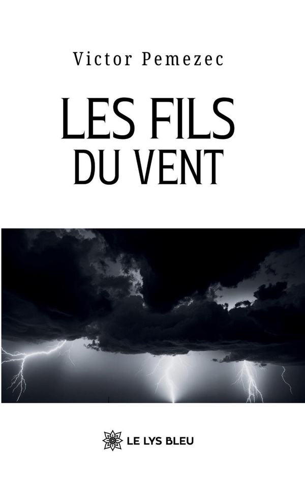 Couverture du livre « Les fils du vent : roman », librairie Les Contes Infusés à Corte