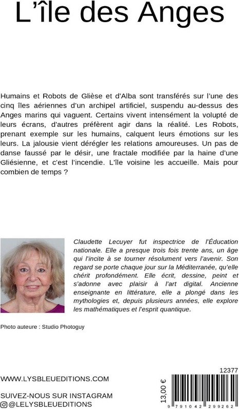 Quatrième de couverture de « L'île des anges : roman »