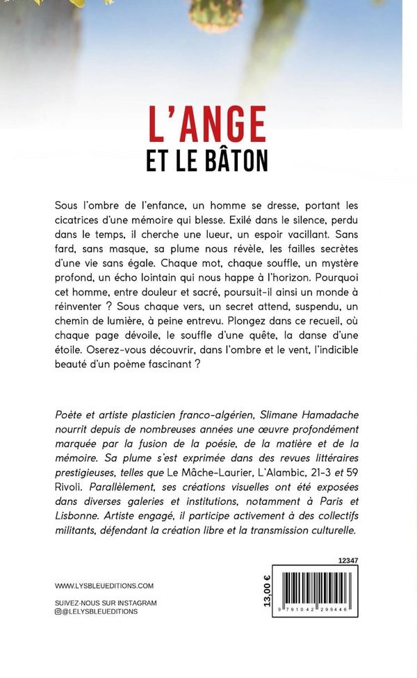 Quatrième de couverture de « L'ange et le bâton »