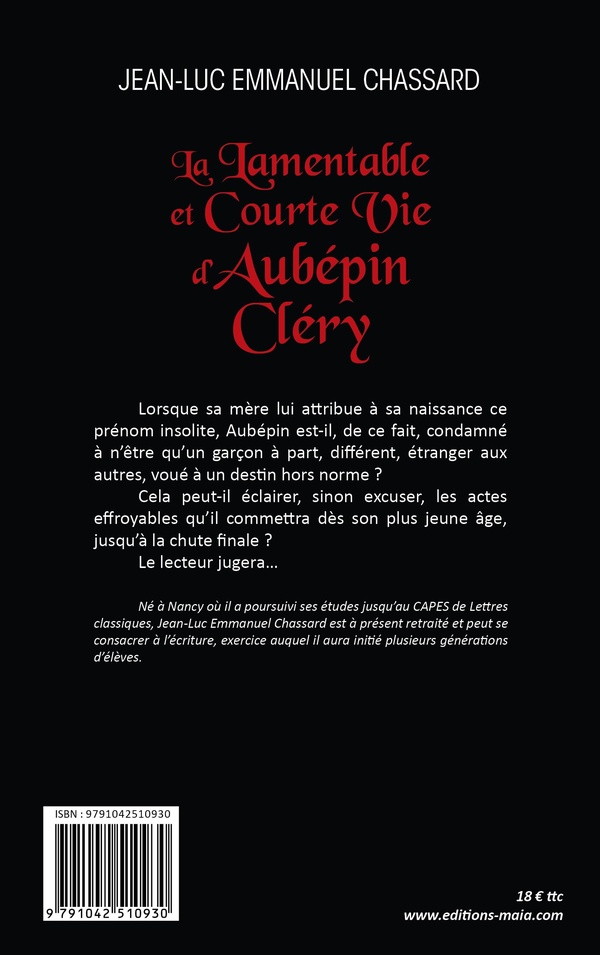 Quatrième de couverture de « LA LAMENTABLE ET COURTE VIE DAUBEPIN CLERY »