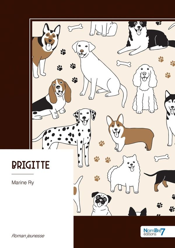 Couverture du livre « Brigitte : roman jeunesse » de Marine Ry, librairie Les Contes Infusés à Corte
